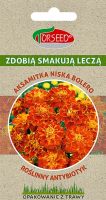 AKSAMITKA NISKA BOLERO - 1 g GRASPAPIER